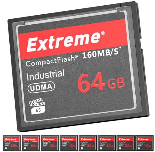 Denain Voltaire CF Scheda della fotocamera ottica br&td della scheda di memoria flash compatta (64GB)