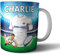 AK Giftshop Personalised Rugby Gift - Tea Coffee Mug - Shirt Themed - England Colours