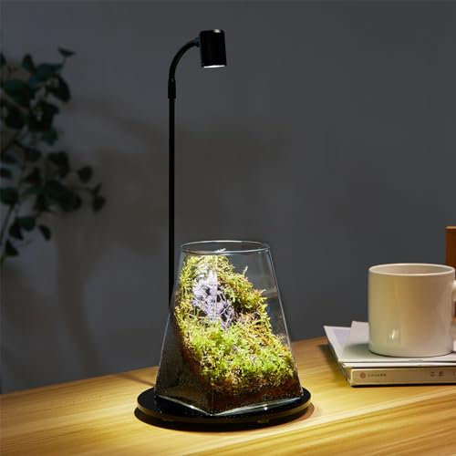Mini-Glas-Pflanzen-Terrarium mit Licht, 10,4 x 14 cm, Sukkulenten, Luft-Pflanzgefäß, Farn, Moos, Mikro-Landschaftsvase für Zuhause, Büro, Tischdekoration, Behälter, Innenbereich, Wardian, Copyright