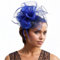 MUNSKT Fascinators Chapeau Femmes Plumage Bandeau Fascinator Fleur Mesh Plume Mariage Dames Day Bandeau et Clip Cocktail Tea Party Chapeau