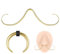 ZS 16G 14G Schnurrbart Septum Ringe, Edelstahl Buffalo Horseshoe Nasen Septum Ringe, Septum Schnurrbart Aufhänger Piercing Schmuck (14g, Gold)