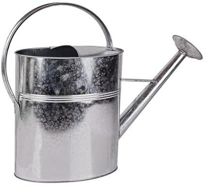 DEMA Victoria Arrosoir en métal galvanisé avec douchette 10 l