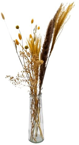 Trockenblumen Strauß in Glasvase - 70 cm - Bouquet aus getrockneten Blumen mit Deko Vase - Echte Pampasgras Schleierkraut Wedel natürliche Boho Tisch Dekoration
