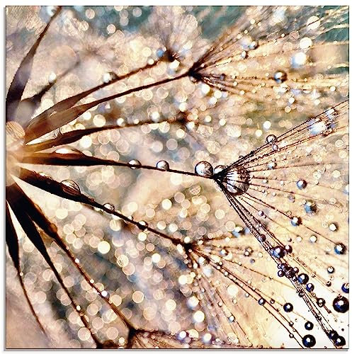 ARTland Wanddeko Glasbilder Wandbild Glas Bild einteilig 40 x 40 cm Quadratisch Innere Ruhe Wellness Abstrakt Pflanzen Blumen Pusteblume Dandelion Regen Tau Tropfen S8WZ