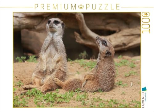 CALVENDO Puzzle Einfach mal relaxen! | 1000 Teile Lege-Größe 64 x 48 cm Foto-Puzzle für glückliche Stunden