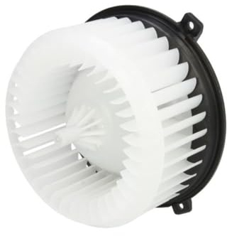 THERMOTEC Gebläsemotor Innenraumgebläse DDX018TT 12V Anzahl der Steckkontakte: 2