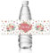 ANATTASOUL 30pcs Etiquetas para Botellas Rosa de Agua Envolturas de Botellas de Agua Pegatinas para Botellas de Agua para Decoración de Fiestas
