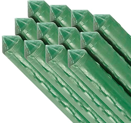 Tradineur - Pack de 12 tutores plastificados de Acero para Plantas, Soportes, Varillas, estacas, guías para Tomates, judías, árboles, Cuidado del jardín (Verde - 1,6 x 180 cm)