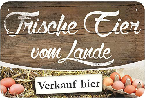 Schild Frische Eier vom Lande zu verkaufen aus Aluminium-Verbundmaterial 3mm stark 20 x 30 cm