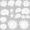 GRAZDesign Wandtattoo Bad Muschel & Meer Set Wandaufkleber Maritime Deko wasserfest - 010 weiss