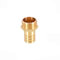 TopHomer Connecteur de Tuyau BSP en Laiton 25 mm Cannelé x G1 Mâle, Raccord Fileté BSP Mâle Cuivre Coupleur Adaptateur