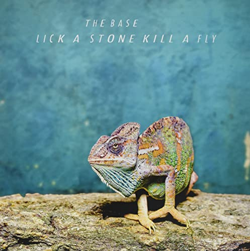 Lick a Stone Kill a Fly