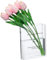 HAMPPLIES Buch-blumenvasen Transparente Buchform Vase Dekoration Für Bücherregale Elegantes Design Stabil Für Blumenarrangements Kreatives Wohnaccessoire