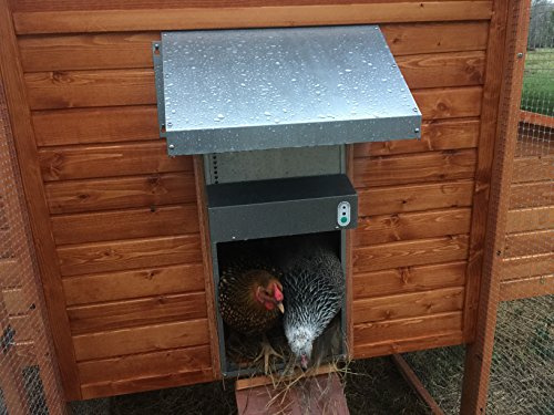 Automatic Chicken Coop Door, ADOR1 Made in Texas