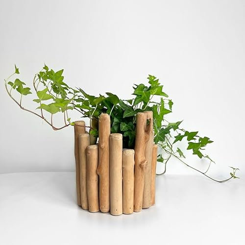 RISEON Natürlicher handgefertigter rustikaler Holz-Blumentopf, Treibholz, Blumentopf, Übertopf, Pflanzgefäß, Pflanzgefäß, Blumenvase, Behälter, Blumenarrangement-Halter mit abnehmbarem Glas für den