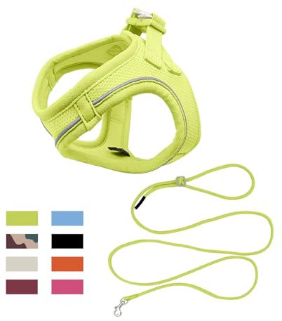 Qianruida Geschirr und Leinen für Hunde, Zugentlastung, verstellbar, reflektierend, Mesh, gepolstert, Geschirr, Jacke für Hunde, kleine Größe, Katzen, Kätzchen (Zitronengrün S)