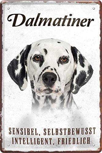 Dalmatiner Hund Steckbrief 20 x 30 cm Deko Spruch Blechschild Blech 183
