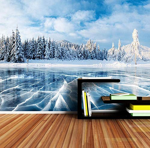 Benutzerdefinierte 3D Wallpaper Winter Frozen Lake Ice und Cracks Hills Pines Blue Sky Wallpaper für 3 d Wohnzimmer Tapeten-350cmx256cm(137,8x100,8inch)