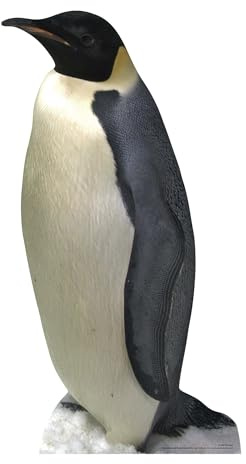 Star Cutouts Cut Out of Penguin