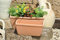 Westerwälder Blumentopf-Fabrik Spang BG Pflanzkasten, 41 x 18 x 17 cm, antiqua