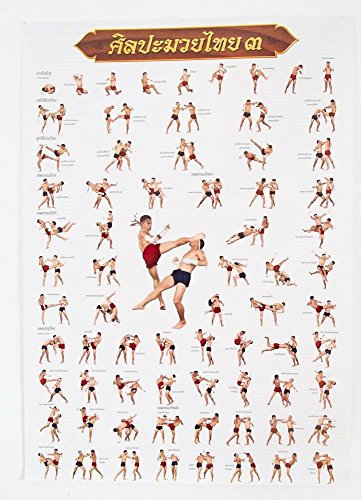 WitnyStore 30½ High Muay Thai Poster Nr. 3 Boxing Martial Arts Skill Development Training Lehrhilfe klare Illustrationen echte Muaythai Taktik von Basics bis hin zu High Skilled on Qualitätsposter