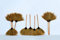 Balai Nature Lounge - En fibres de palmier véritables - 75 x 50 cm manche compris - Fait main 75 x 50 cm 1 Stk. naturel
