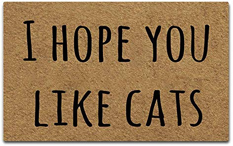 Eureya Doormat I Hope You Like Cats Door Mat Decorative Home Indoor Outdoor Doormat Non-Woven Fabric Top 45x75cm