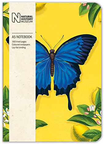 Museums & Galleries Natural History Museum Ulysses Butterfly A5 Notebook