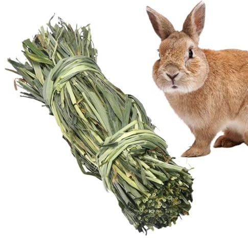 Kauspielzeug für Kaninchen, Kauspielzeug für Kaninchen, natürliches Timothy-Gras, Heuball, Molargras, Stab, Spielzeug, Kleintier-Aktivität, Kauspielzeug, Hamster, Grasball
