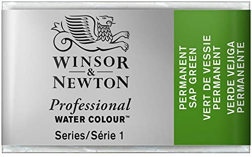 Winsor & Newton Aquarelle Professionnel - Peinture Aquarelle, Haute Luminosité, Résistante à la Lumière, Qualité Archive, Godet, Couleur Vert de Vessie Permanent