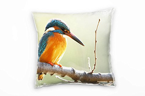 Paul Sinus Art Tiere, Vogel, Eisvogel, orange, türkis Deko Kissen 40x40cm für Couch Sofa Lounge Zierkissen - Dekoration zum Wohlfühlen
