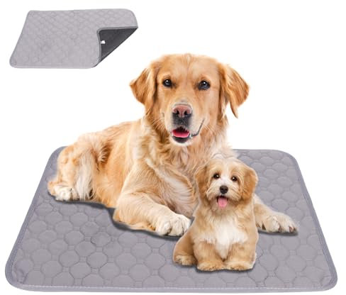 Lollanda Waschbar Welpenunterlagen, Wiederverwendbare Matten für Hunde, Hundematte Bodenschutz Waschbare, Haustier Unterlagen für Drinnen, Draußen, Reisen(100X70CM,Grau)