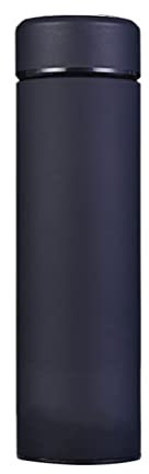 Termo De Agua Caliente Frasco De Té Con Filtro De Acero Inoxidable 304 Taza Térmica Deportiva Taza De Café Botella De Té Negocios De Oficina (Color: Negro, Tamaño: 6.5 * 23.5cm) Commemoration Day