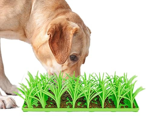 Grasnahrungsmatte – Silikonmatte für Gras, Schnupfkissen für Haustiere, Silikon-Katzengras, Futtermatte für Gs