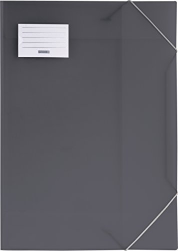 Brunnen 104705380 Sammelmappe FACT!pp (A3, transluzente PP-Folie, mit Gummizug, mit Namensschild) grau