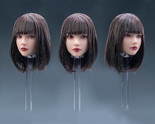 1/6 Skala Weiblicher Kopf Skulptur,Schönheit Mädchen Gepflanzt Haar Kopf Carving mit Beweglichen Augen für 12inch Weiblich PH TBL JO Action Figur Körper Sammlung (B)