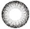 Matlens – EOS Farbige Kontaktlinsen mit Stärke grau gray J-211 circle lenses 2 Linsen 1 Kontaktlinsenbehälter 1 Pflegemittel 50ml -225