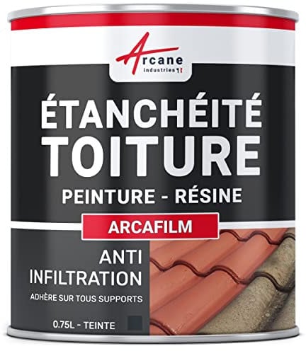 Étanchéité Toiture : Peinture résine d'étanchéité ARCAFILM pour Toit et Tuile - 0.75 L Ardoise - ARCANE INDUSTRIES