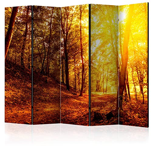 decomonkey Paravent Raumteiler Innen Wald 225x172 cm 5 Teilig Beidseitig Room Divider Wall Raumteiler Stehend Trennwand Sichtschutz Spanische Wand Sichtschutzwand Wohnzimmer Holz Baum Natur Herbst