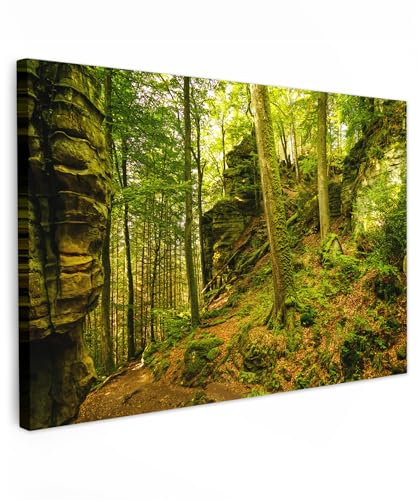 MuchoWow© Bilder Klein 30x20 cm Mini Wohnzimmer Deko Modern Wandbild Foto auf Leinwand Bild Schlafzimmer Room Decor Geschenke Wandbilder Wald - Bäume - Stein - Natur - Pflanzen