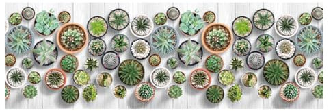 SOFFICIOSO Tappeto Runner Cucina Antiscivolo Passatoia MOD. Futura Cactus By Suardi 52x180 Cactus