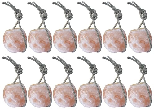 Himalaya-Salzleckstein für Pferde Delizia – 12er Set mit Kordel je 1,75 kg – natürliche Mineralquelle für Stall & Weide – langlebig & gesund