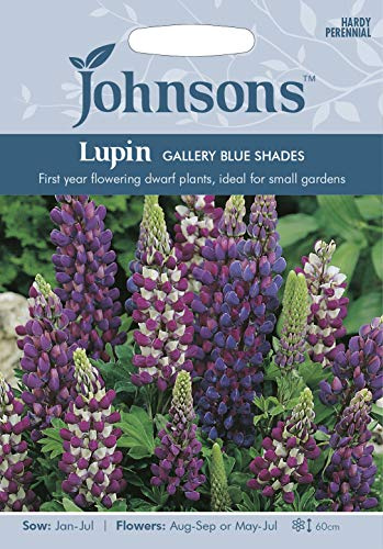 Johnsons Lupin Gallery Blue Shades