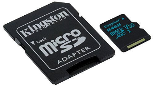 Kingston Carte microSD -( SDCG2/64GB ) avec adaptateur SD; Canvas Go! / Capturer l'essence de la vie