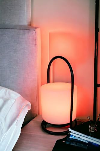Arnusa LED Tischlampe PL408 mit Fernbedienung und Akku-Funktion mit Farbwechsel kabellos Dekoleuchte USB