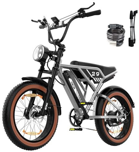 RCB 20'' E Bike, Elektrisches Mountainbike für Erwachsene, Pendel-Elektrofahrrad mit Abnehmbarem 48-V-13-Ah-Akku, Reichweite 35–90 km