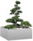 Fioriera 100x100x40 cm in Acciaio Zincato (11,9KG)