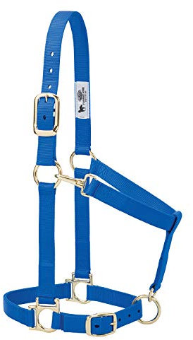 Weaver Leather Halfter aus Nylon, verstellbar, 2,5 cm, Blau