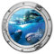 K&L Wall Art 3D-Bullauge Glasbild Delfine rund Badezimmer Wandbild aus Glas Gäste WC Deko Dolphins Ø 50