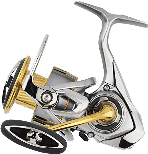 Daiwa Freams LT 1000S Rolle - Spinnrolle zum leichten Spinnfischen, Forellenrolle zum Ultra Light Angeln, Raubfischrolle fürs Süßwasser & Salzwasser, Angelrolle für Forelle & Barsch